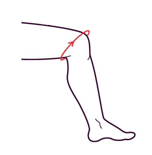 knee measurement image